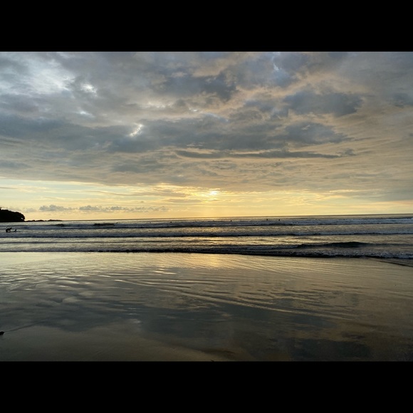 Meet your Posher, Danielle - Picture 1 of 1